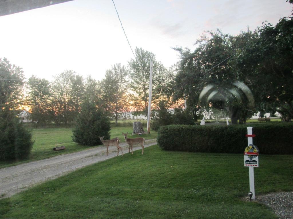 Gite Les Acres Tranquilles B&B Port-Daniel Luaran gambar