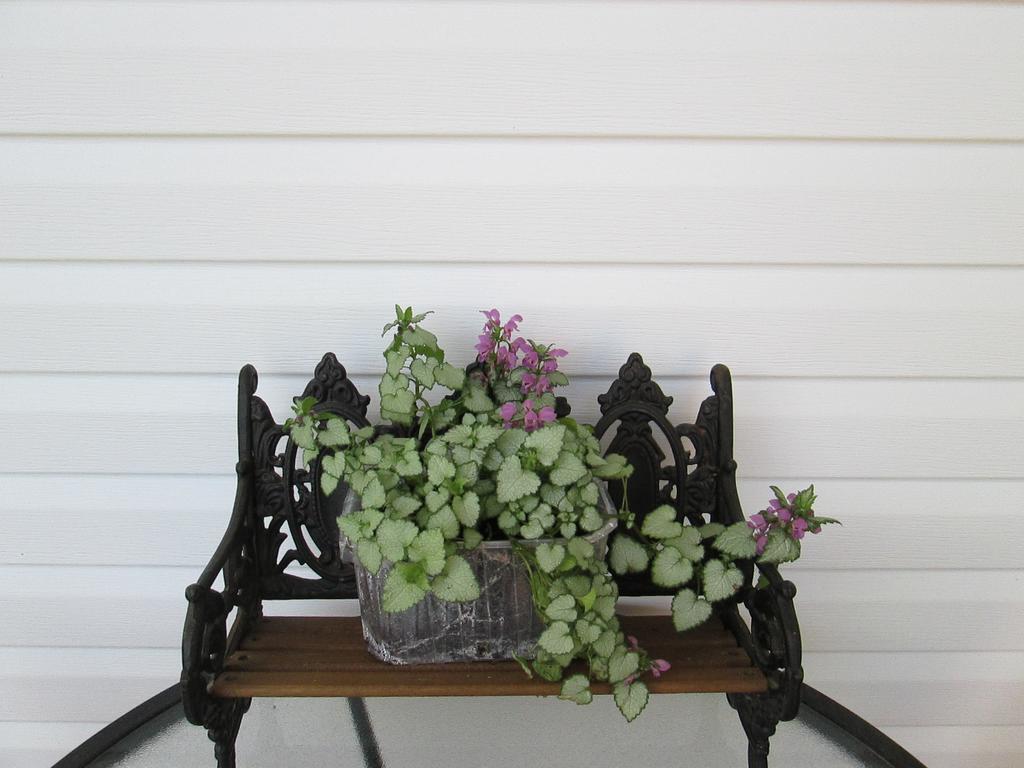 Gite Les Acres Tranquilles B&B Port-Daniel Luaran gambar