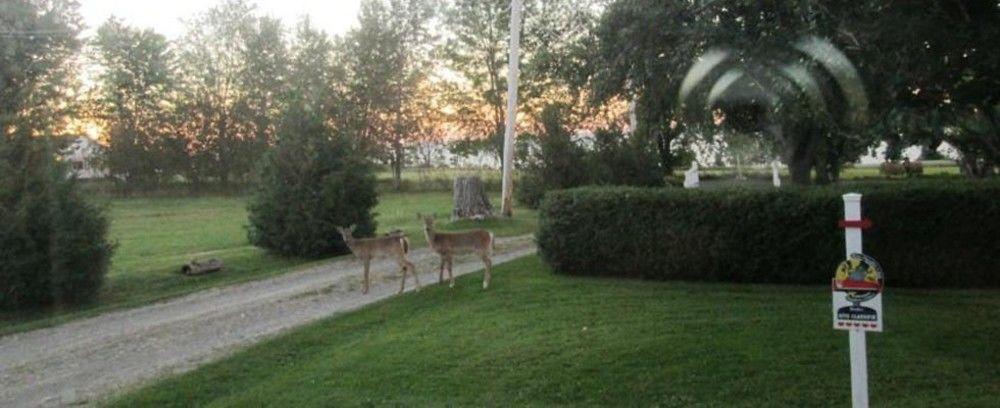 Gite Les Acres Tranquilles B&B Port-Daniel Luaran gambar